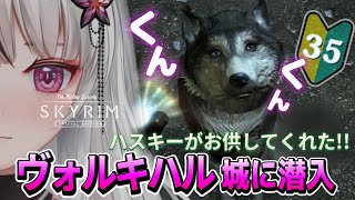 🔴The Elder Scrolls V: Skyrim AE｜🔰＃35｜ヴォルキハル城に潜入🌙*゜