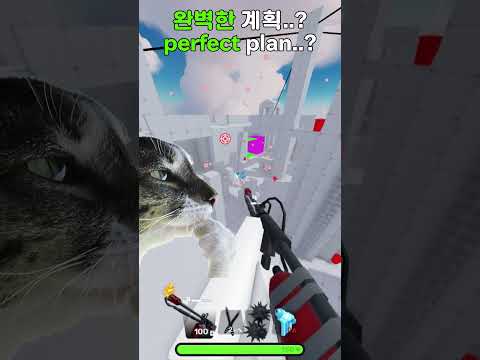 <strong>완벽한</strong> 계획...?
