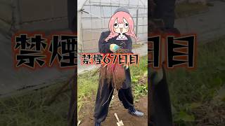 【 禁煙67日目 】 やっぱお姉さんはタバコが心の薬だわ  #タバコ #喫煙女子 #vtuber