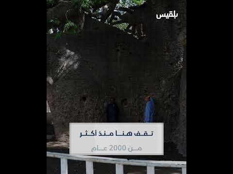 قناة بلقيس الفضائية