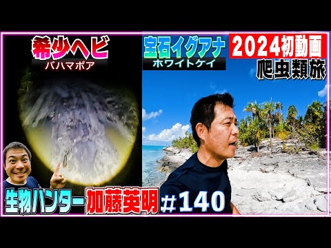 【闇夜の希少ヘビと宝石イグアナ】絶景カリブ海④孤独の爬虫類旅≫生物ハンター加藤英明・Japan wild hunter