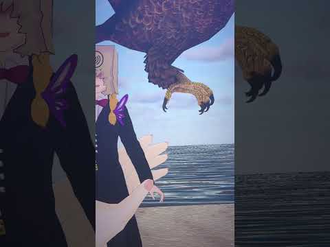 thumbnail_38-3feuYqOQ
