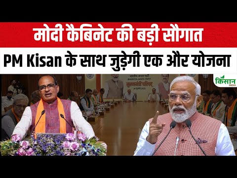 Live: मोदी कैबिनेट की बड़ी सौगात, क्या PM Kisan के साथ जुड़ेगी PM Dhan Dhanya Yojana
