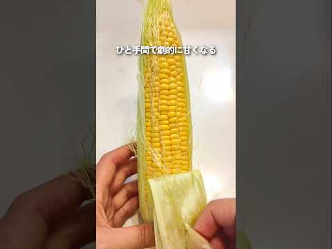 驚きの甘さ！栄養も逃さない、覚えたら一生使えるとうもろこしの下処理。翌日も翌々日もずっと美味しい！