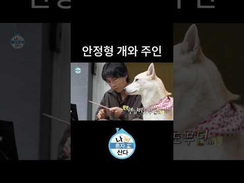 공사소음에도 무던한 던과 햇님이