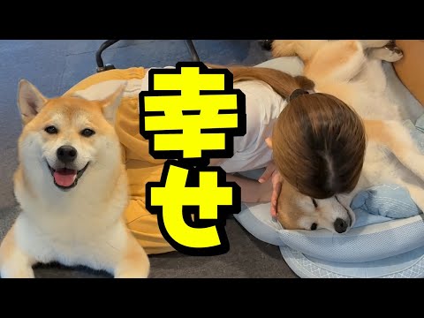こまちく家族の幸せな瞬間と成長ストーリー サムネイル