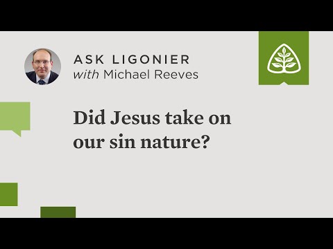 Did Jesus take on our sin nature?