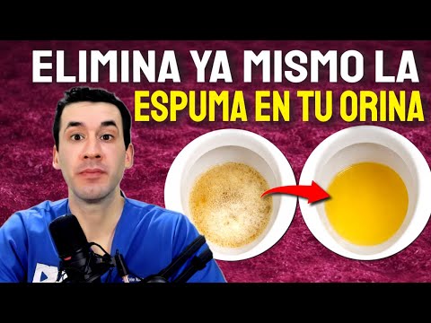 Elimina la espuma en tu Orina (porque la orina tiene espuma?)