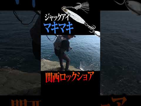 青物ヒット！関西ロックショアジギング🐟#釣り #ショアジギング #ロックショア #ショアジグ #メタルジグ #ブレードジグ #青物ルアー #マキマキ