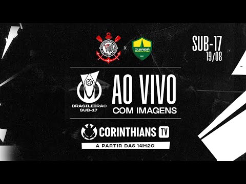 image para ilustrar o artigo