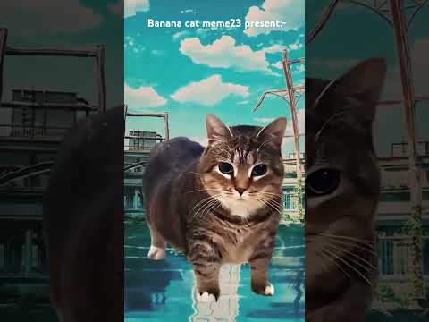 Uia uia Cat x blue by Kai || #trending #memes #viralreels #hottrending #viralnow #mypage