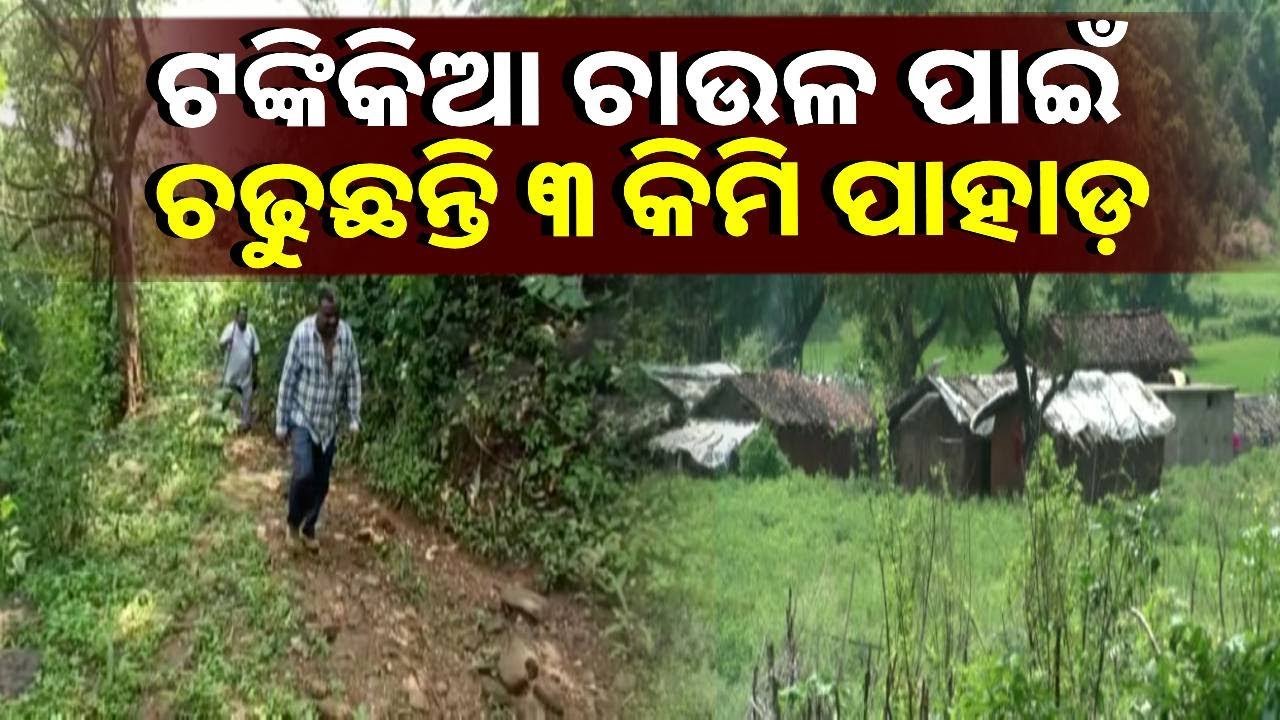 ଅପହଞ୍ଚ ଇଲାକାର ଅକୁହା କଥା, ଡଙ୍ଗାମରା ଗାଁର ଦୁଃଖ କହିଲେ ସରିବନି || Knews Odisha