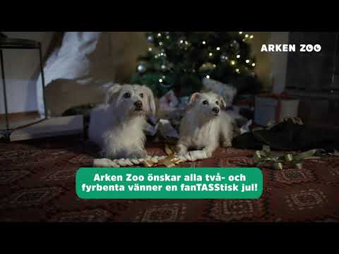 God Jul! | Arken Zoo