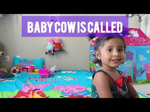 Quiz-1 || 🦕 Can you answer this quiz before my 2 yr old does?  How many did u answer? Comment 