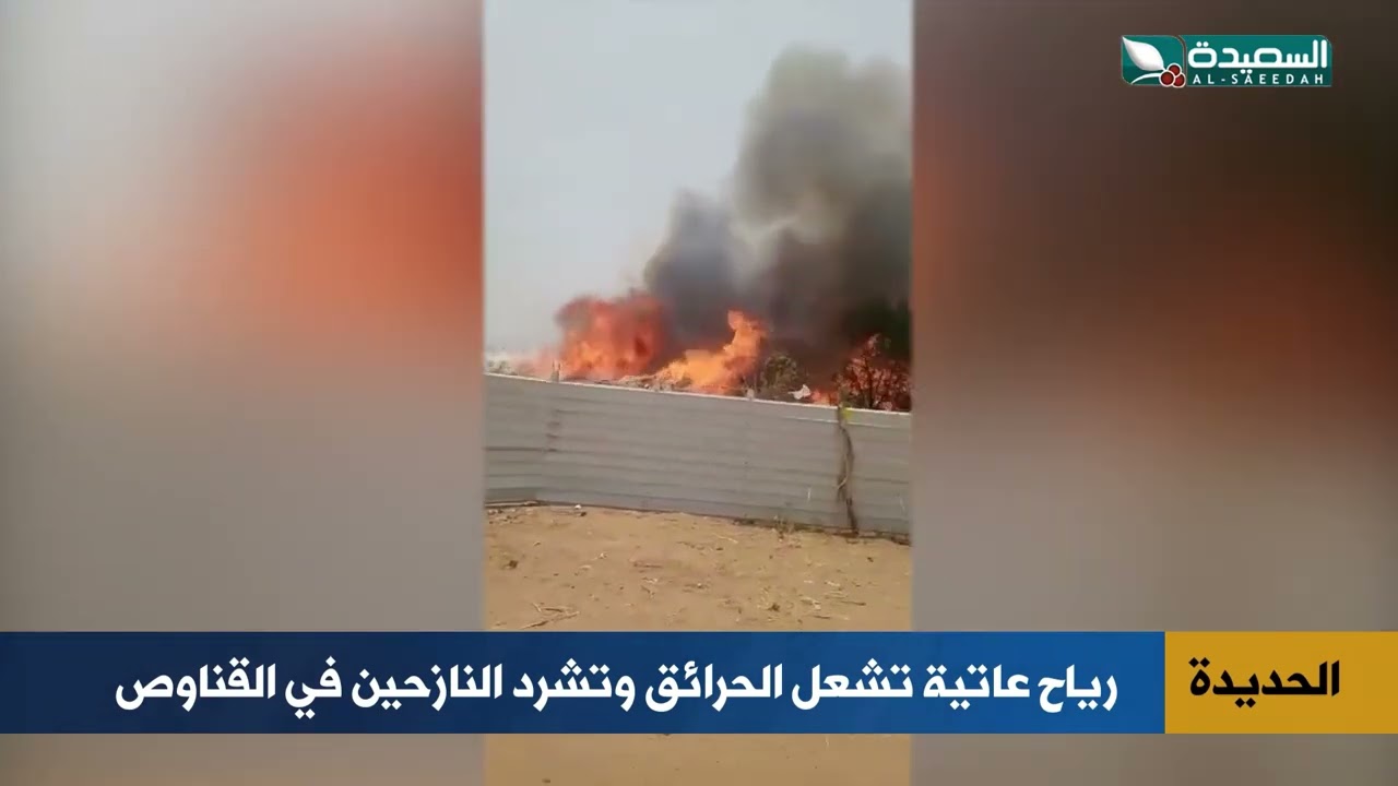 قناة السعيدة