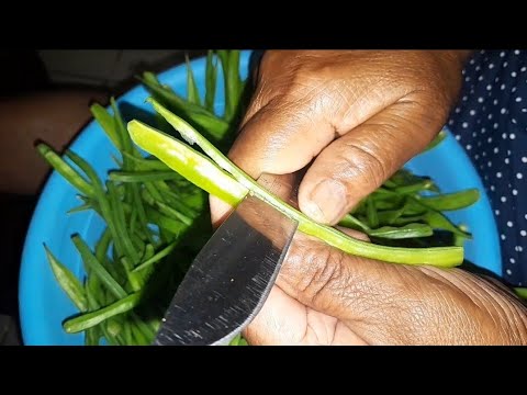 How to clean tiny beans for cooking 