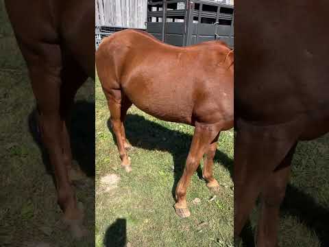 Happy Foxy Boy Friday - anyone else experiencing #aphids out the wazoo?