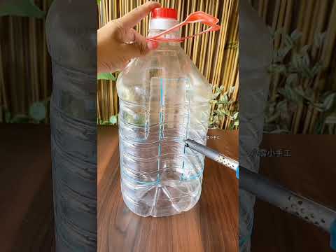 Garden flowers plants flower in bottle plastic #diy #plants #flowers #latestnews #2025