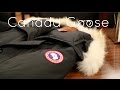 Canada Goose vest replica discounts - Canada Goose Chateau Parka - Indepth Review - YouTube