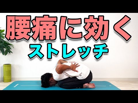 【背中がガチガチで腰痛になっている方向け】腰痛に効くストレッチ！For Those with a Stiff Back and Lower Back Pain