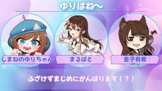 # すい×どん ダイヤ以下カスタム　スクリム