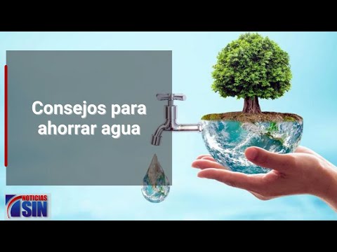 Consejos para ahorrar agua