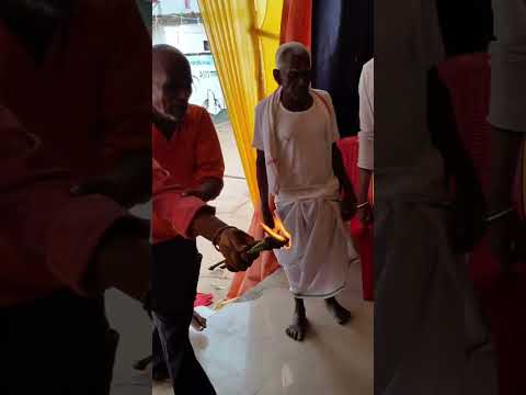 mor mahamai ke jot barge! #cgjas #cgsong #cgbhajan #jasgeet #cgshort #dukaluyadav #garima #cgtrend