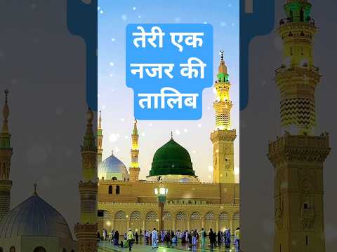 आका ये सब तेरे दीवाने#naat#urdunaat#newnaath#islamicmusic#shorts#islam#islamic#newnaat#naatsharif