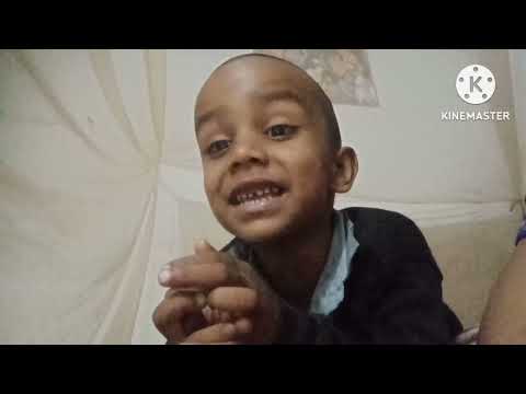 मछली जल की रानी है 