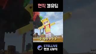 병아리옷 #shorts #vtuber