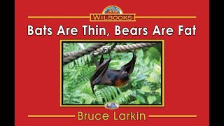 Bats Are Thin, Bears Are Fat 