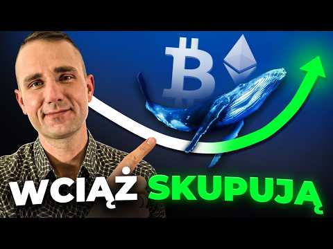 Ten Cykl Krypto Wciąż Należy Do Wielorybów BTC i… ETH – Wiadomości