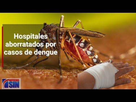 #SINFindeSemana: Dengue, derrumbe, obras