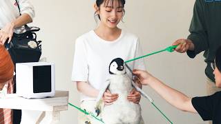 動画サムネイル