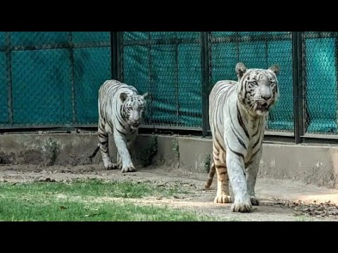 Places to visit in surat part 1