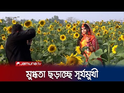 মেঘনার তীরে বাহারি ফুলের রাজ্যে প্রকৃতি প্রেমীদের ভিড় | Narshingdi Flower Garden | Jamuna TV
