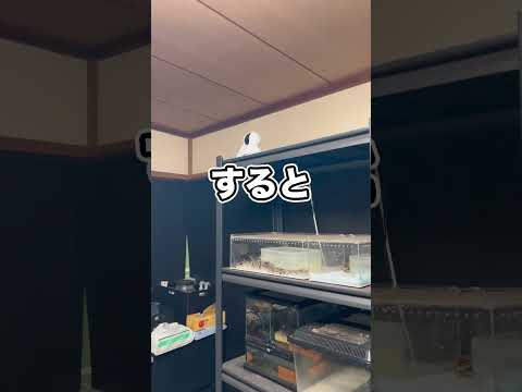 不審者として通報されてしまいました…