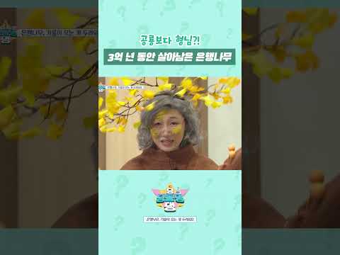 은행나무는 공룡보다 먼저 태어난 대선배님이었다는 사실!! 🦕🍂 #shorts