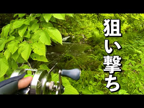 【雨の沢】魚の活性上がってると思いきや…