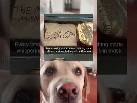 #memes #story #dog #shorts #pets