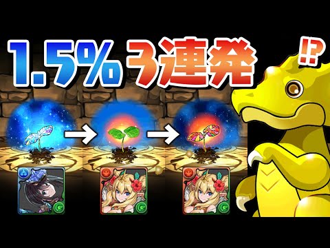 星を紡ぐ精霊フェスでとんでもない引きをする男【パズドラ】