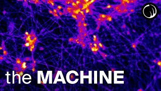 The Machine - A Thought Experiment That Changes Your Life