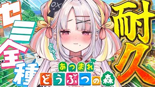 【あつ森】夏だし一緒にセミコンプリートしよっ！✨暑い夏を謳歌しよう！！【＃雪白キャル / #ミクスト】