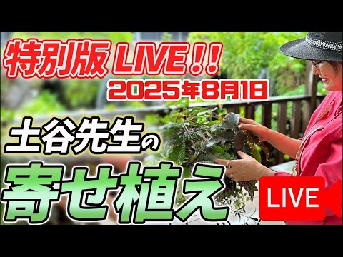 《生配信!》2025年8月1日 土谷ますみ先生の寄せ植えをLIVEにてご紹介八王子本店からお届けします!