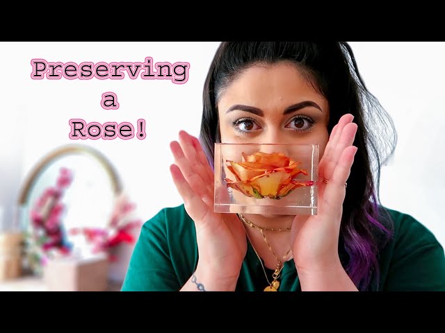 How to Preserve a Rose in Resin