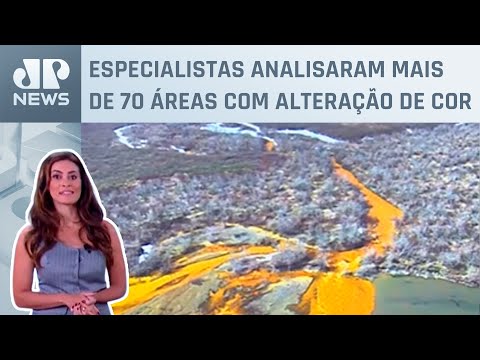 Aquecimento global deixa água de rios do Alasca laranja; Patrícia Costa analisa