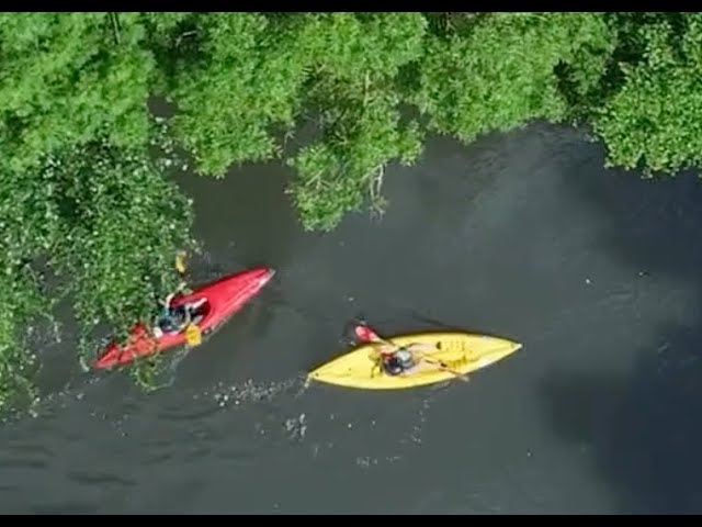 [SORTIES D'ÉTÉ] 
Les locations estivales sont ouvertes au club Pagaie Passion !
Envie de découvrir la rivière autrement ? De passer un bon moment en famille ou entre amis ? Venez louer kayaks et canoës tout l’été, que vous soyez débutant ou pagayeur confirmé ! 
🎥 Olivier Bonnet 
Rédaction et montage Coline Lefevre