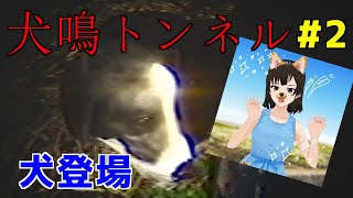 【初見プレイ】夏だから犬鳴トンネルやってみた #2