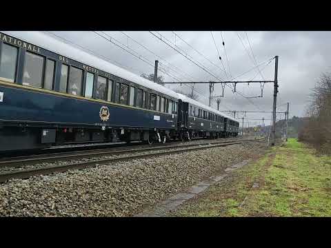 Deuxième venue de l'année de l'Orient Express en Belgique | Y.Glons (L24) (14/03/23)