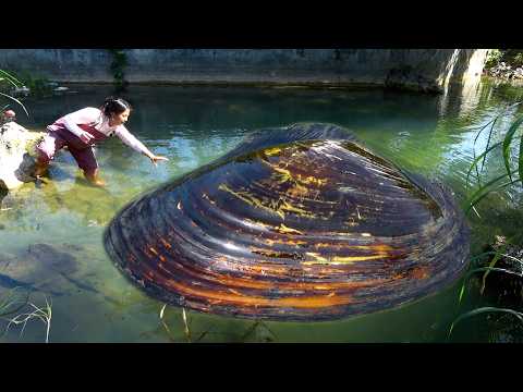 What a coincidence! The pearl clam just came out